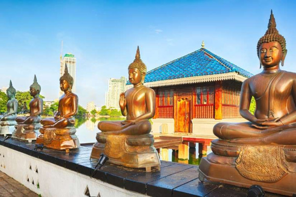 Šri Lanka - putovanje u veljači, 10 dana